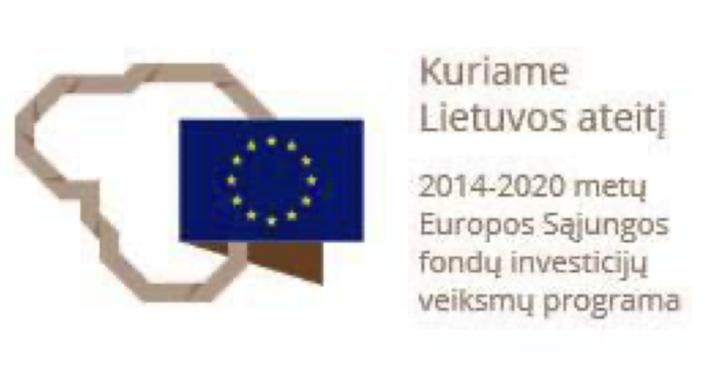 efektyvumo